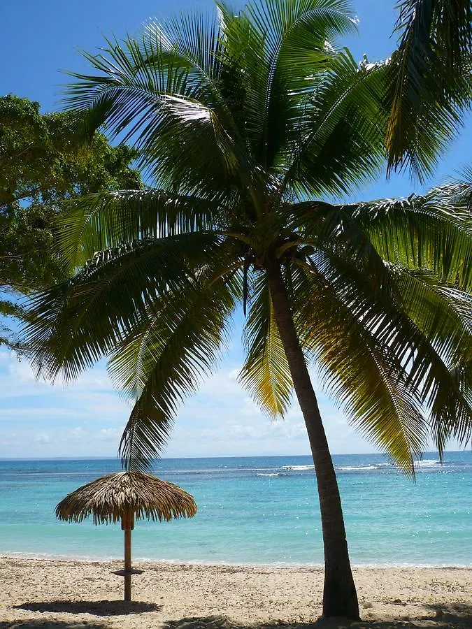 Daire Studio Mimosa Saint-Francois  Guadeloupe