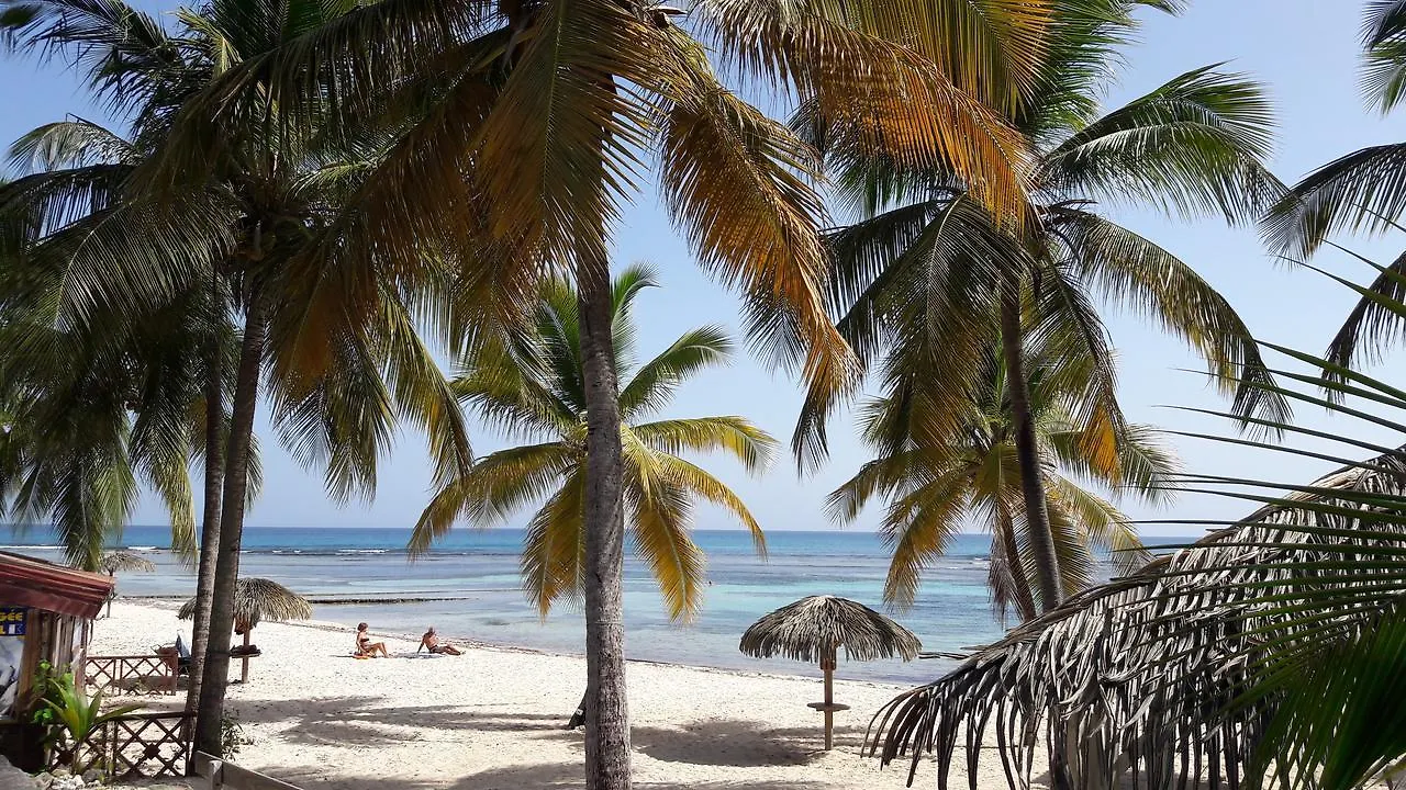 Daire Studio Mimosa Saint-Francois  Guadeloupe