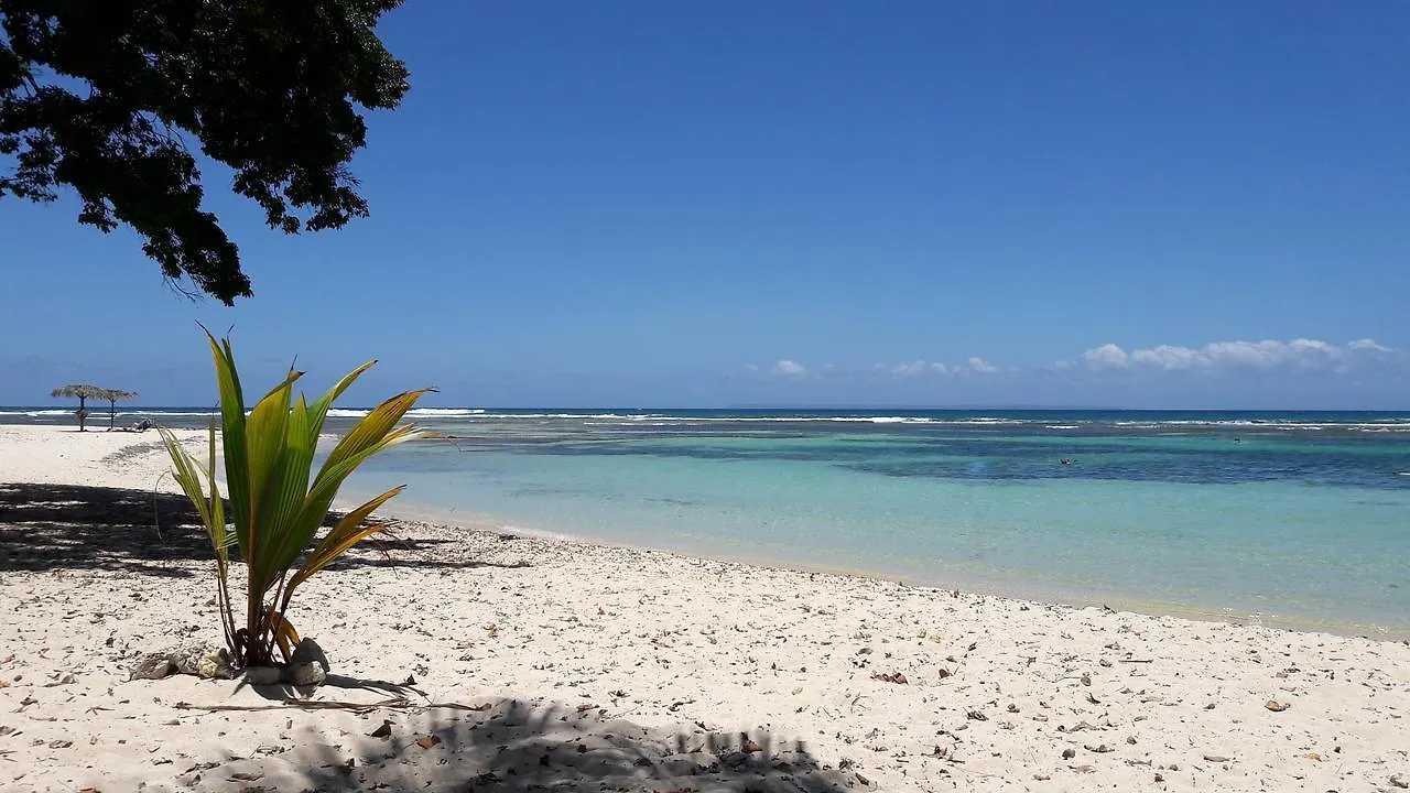 Studio Mimosa Saint-Francois  Saint-Francois (Grande-Terre)